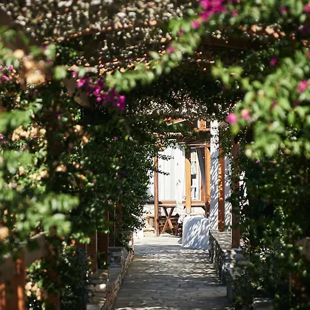 Dream On Guest house Plaka (Naxos)