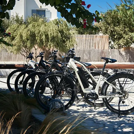Dream On * Plaka (Naxos)