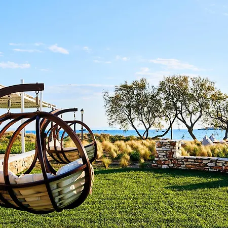 Dream On * Plaka (Naxos)