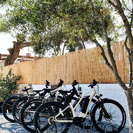 Gasthuis Dream On 3*